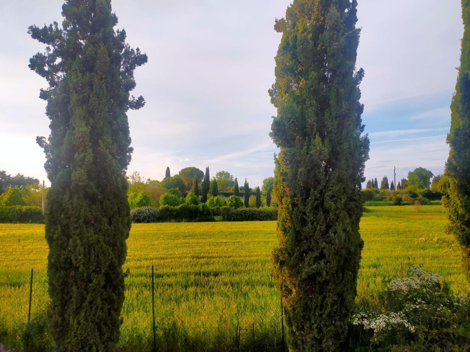 Villetta Con Parco Vicino San Gimignano Colle Val D'Elsa Exterior photo